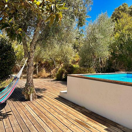 Glamping Do Ze Hotel Cernache do Bonjardim Exterior photo