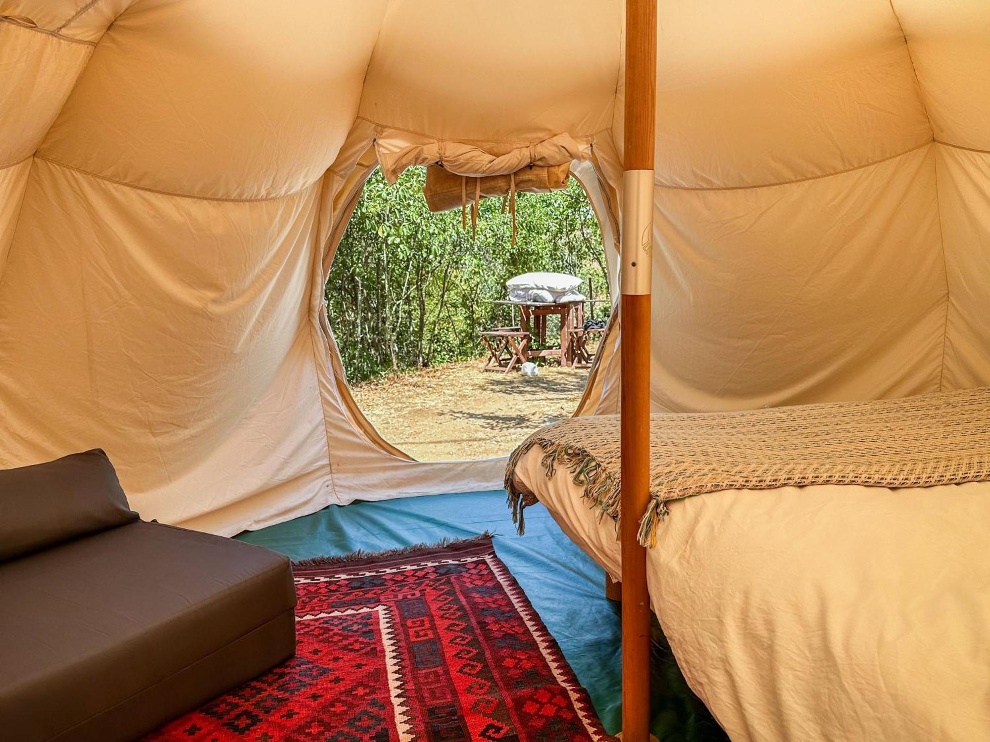 Glamping Do Ze Hotel Cernache do Bonjardim Exterior photo