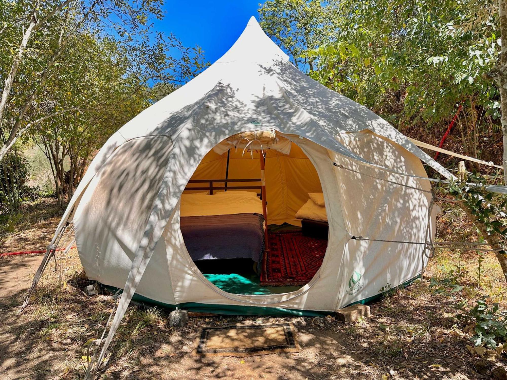 Glamping Do Ze Hotel Cernache do Bonjardim Exterior photo